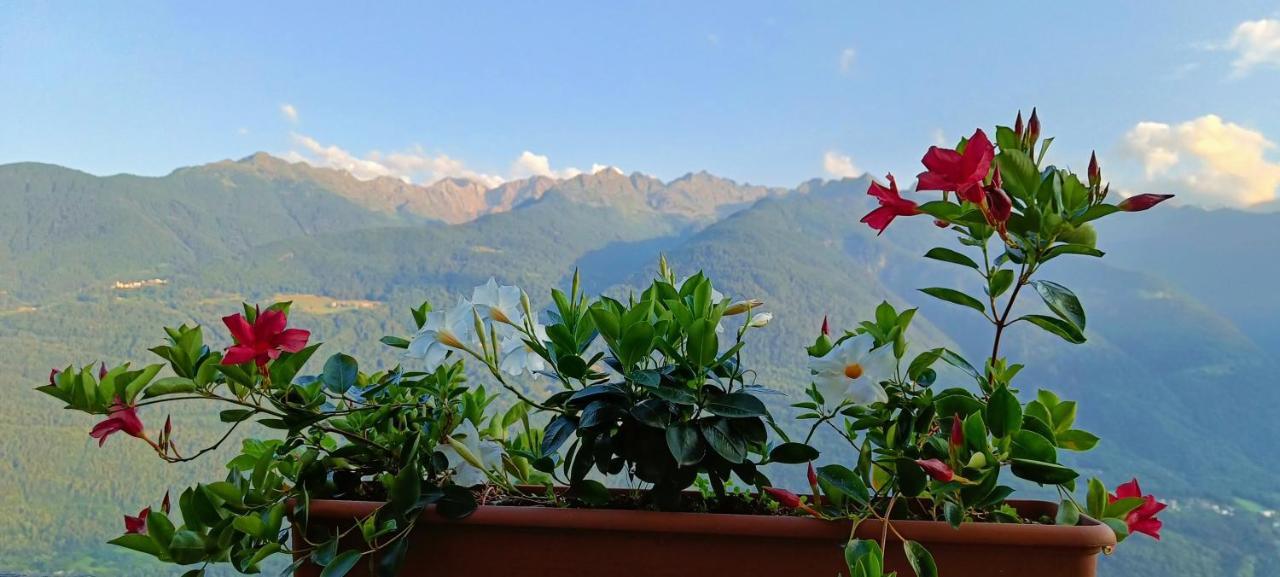 Bed and Breakfast Palazzo Juvalta Teglio Exteriér fotografie